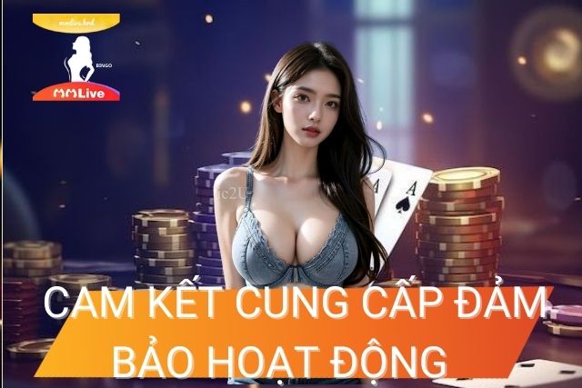 MMlive cam kết cung cấp, đảm bảo hoạt động ổn định 